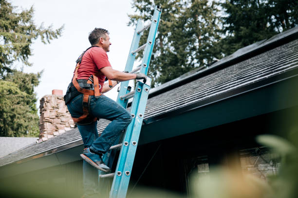 Steel Roofing in Quincy, IL